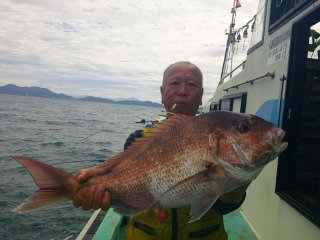 マダイ