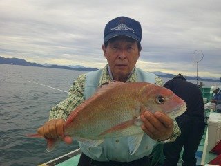 マダイ