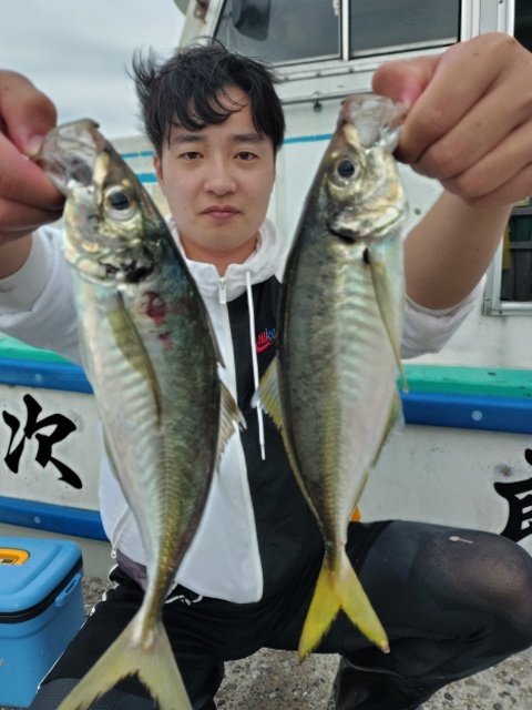 アジ(マアジ)