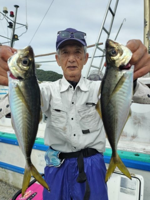 アジ(マアジ)