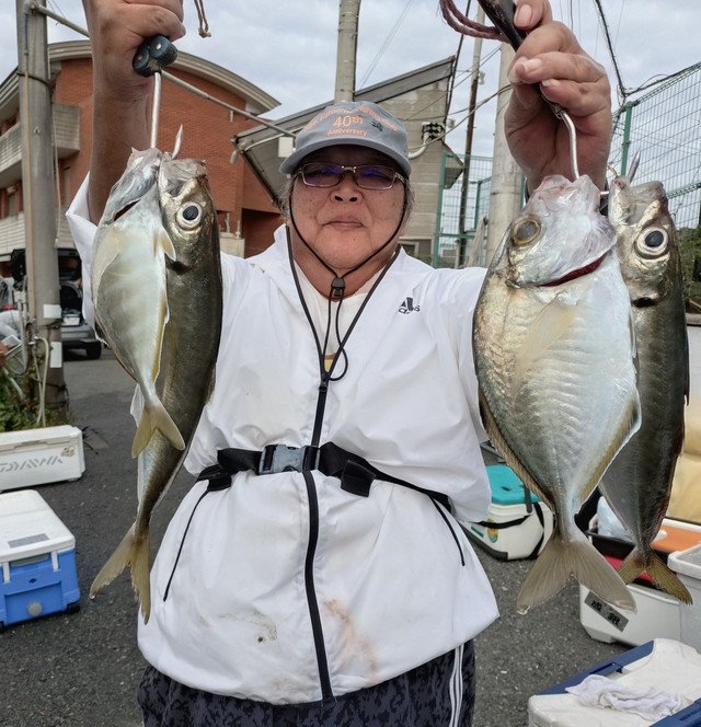 アジ(マアジ)・カイワリ