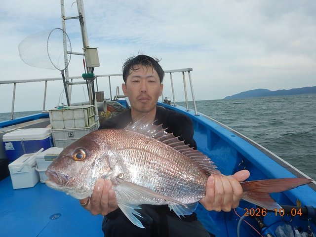 マダイ