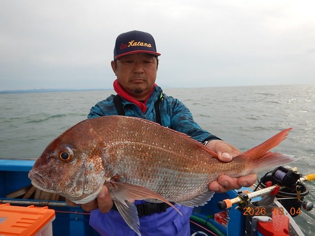 マダイ
