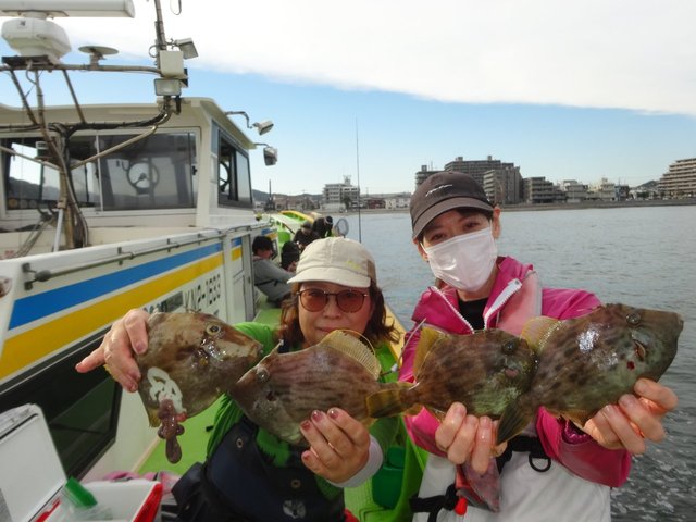 カワハギ