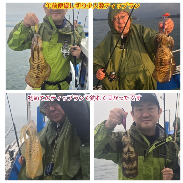 アオリイカ