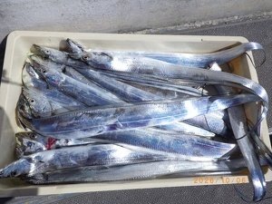 タチウオ