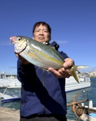 シマアジ