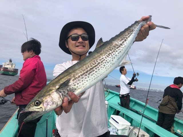 サワラ