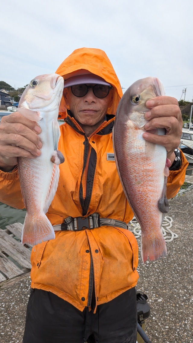 シロアマダイ