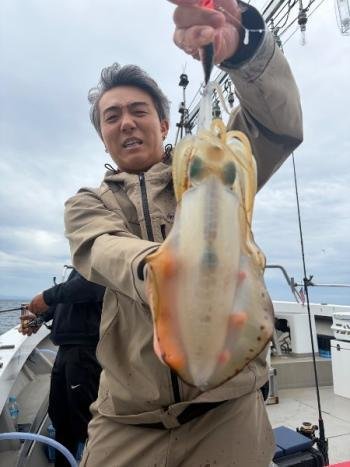 アオリイカ
