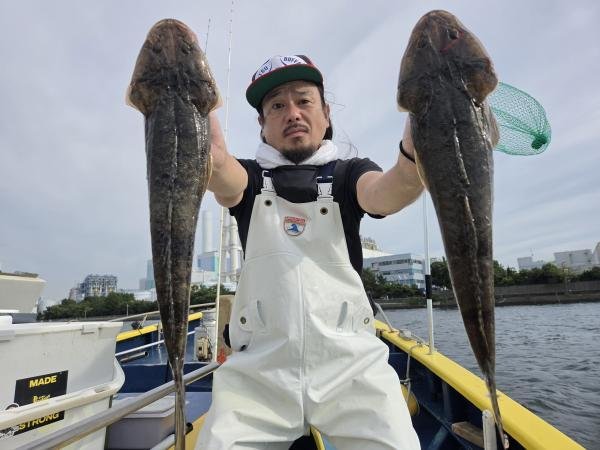 マゴチ