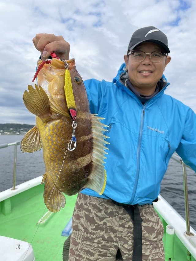 アオハタ