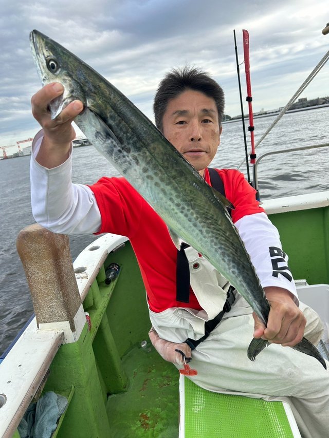 サワラ