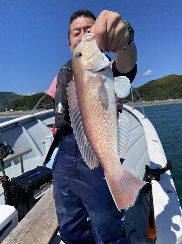 シロアマダイ