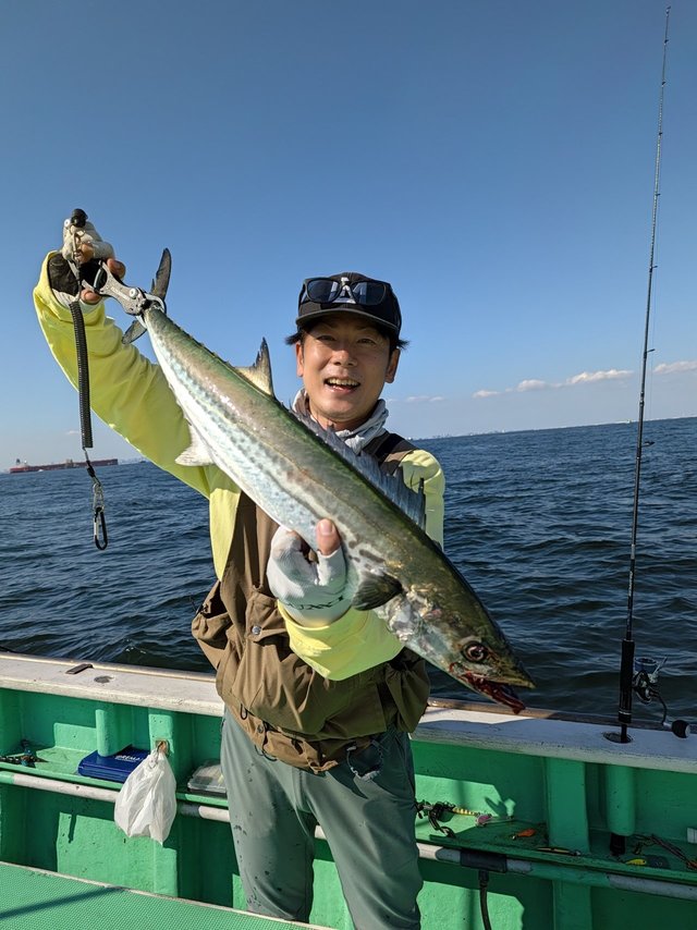 サワラ