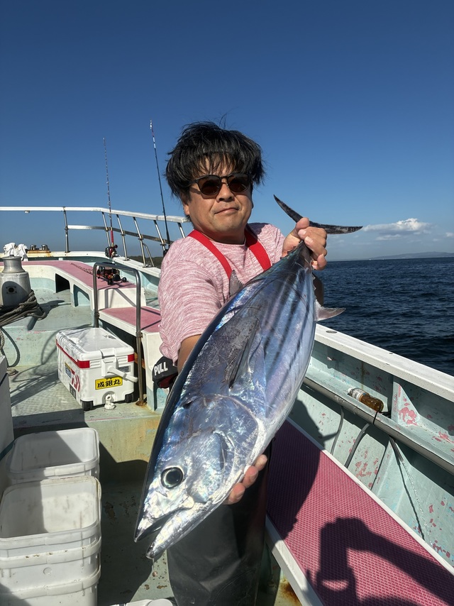 カツオ