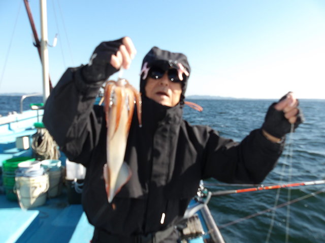 スルメイカ