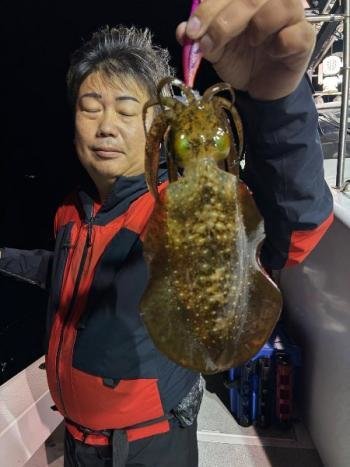 アオリイカ