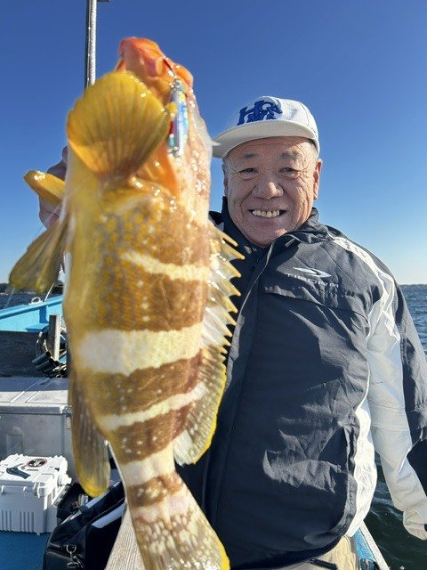 アオハタ