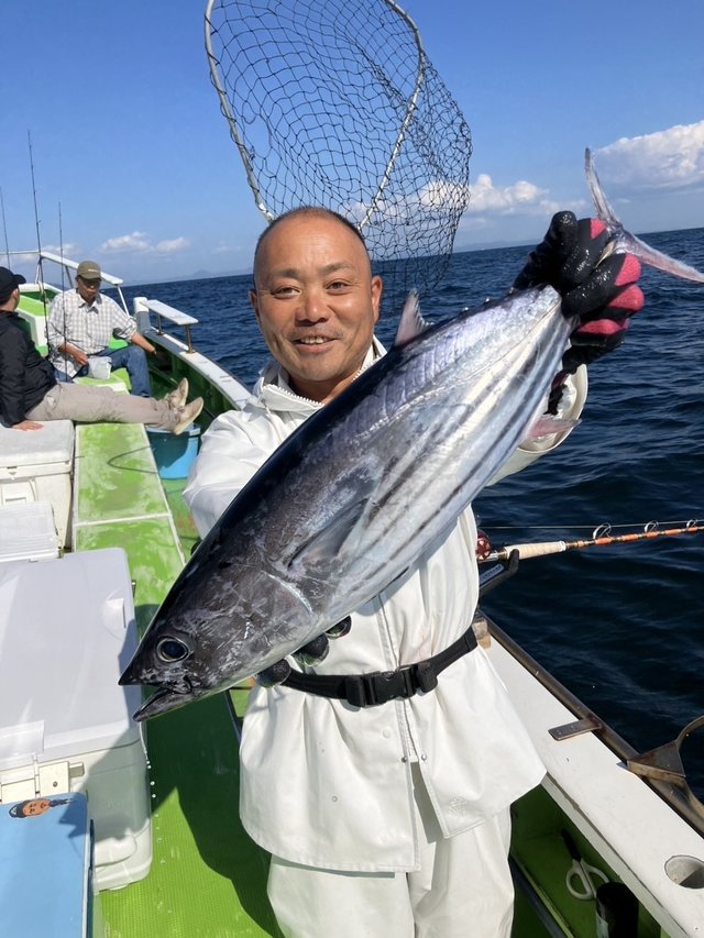 ヒラソーダ(ヒラソウダ)