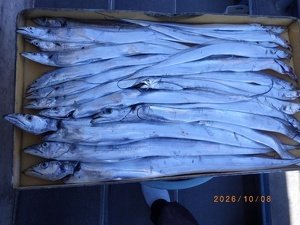 タチウオ