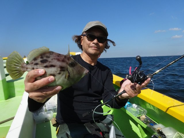 カワハギ