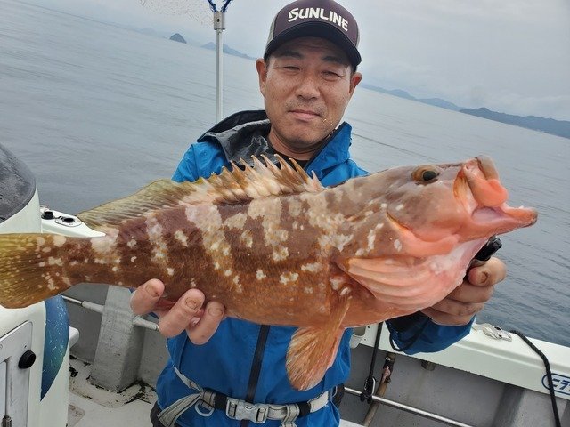 キジハタ
