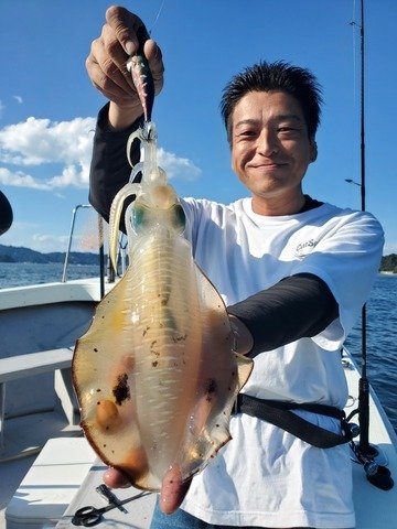 アオリイカ
