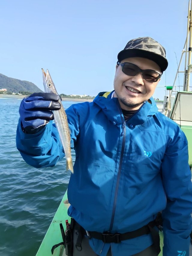 カマス(アカカマス)