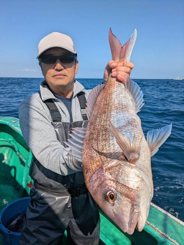マダイ