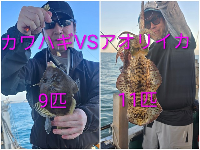 カワハギ・アオリイカ