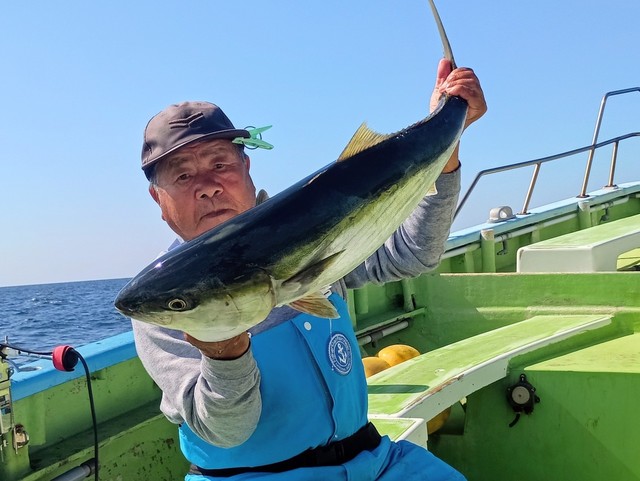 ワラサ(ブリ)