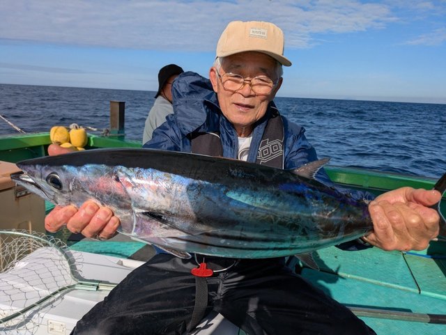 カツオ