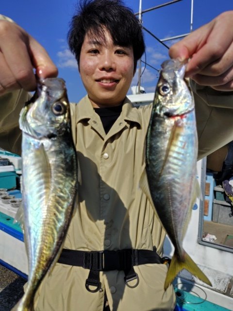 アジ(マアジ)