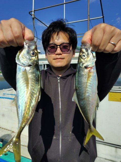 アジ(マアジ)