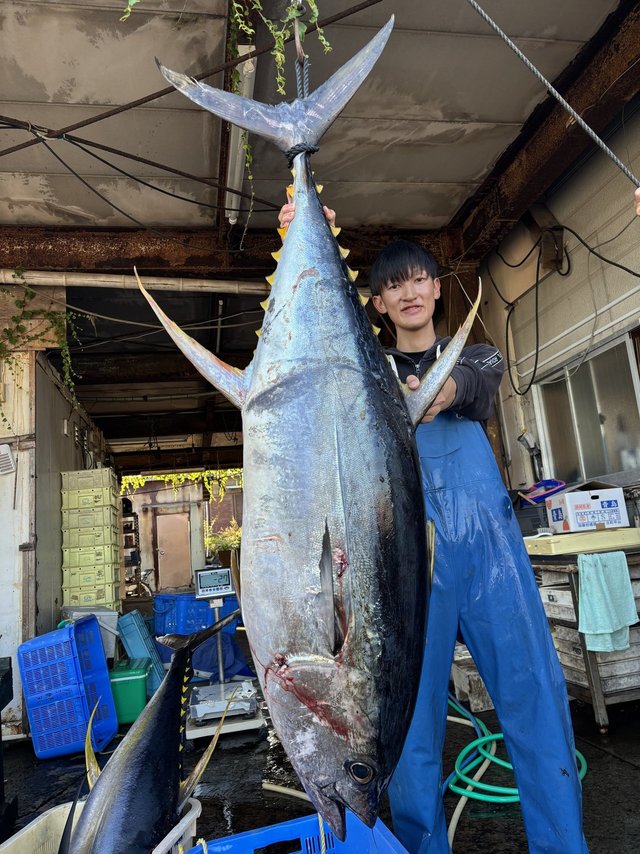 キハダ