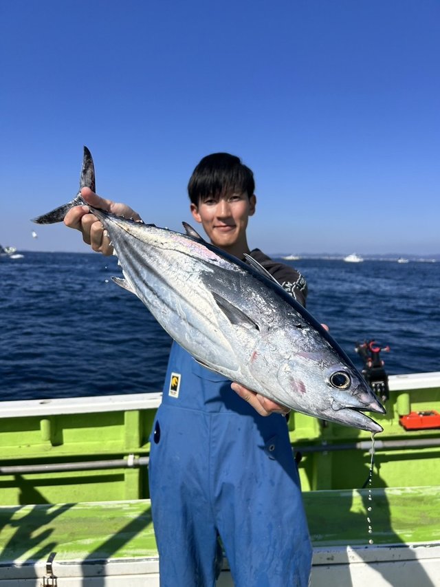 カツオ