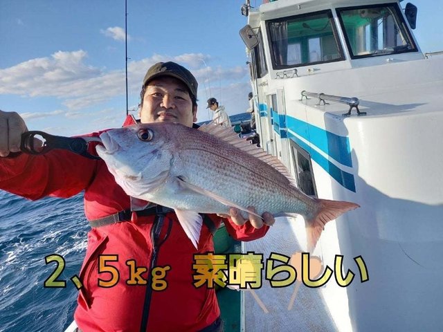 マダイ