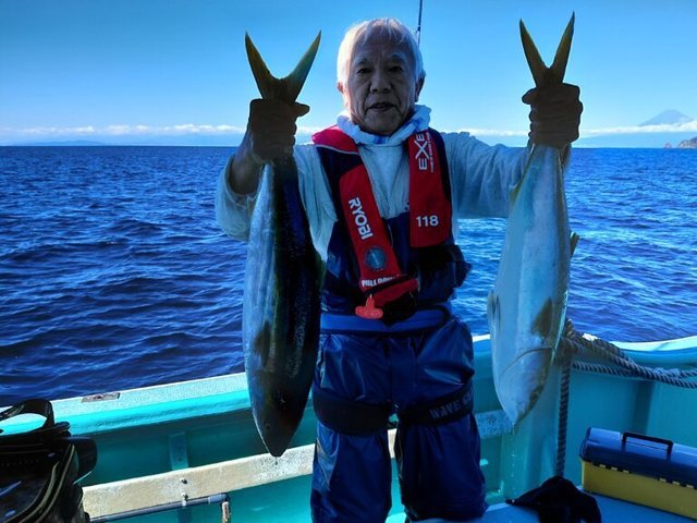 ワラサ(ブリ)