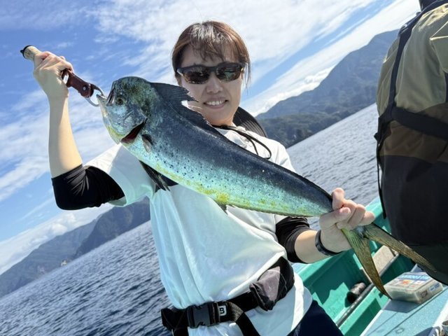 シイラ