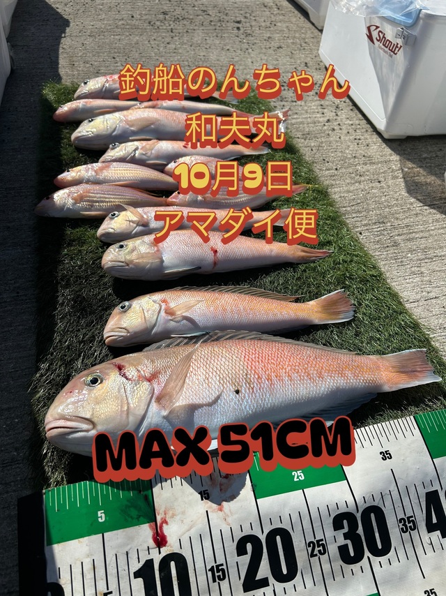シロアマダイ