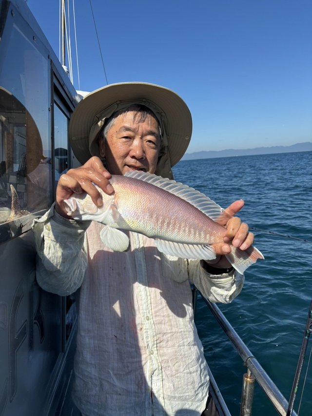 シロアマダイ