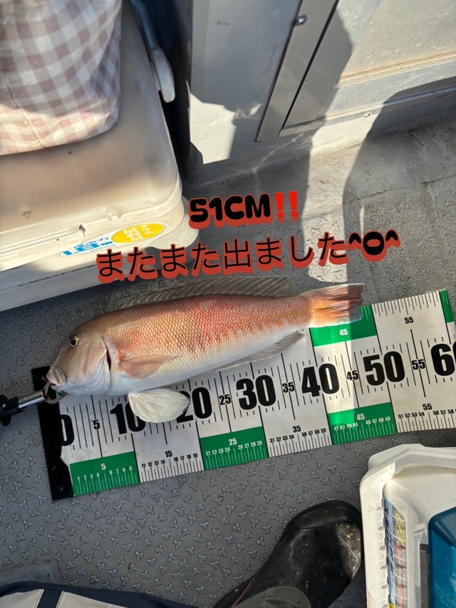 シロアマダイ