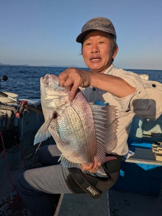 マダイ