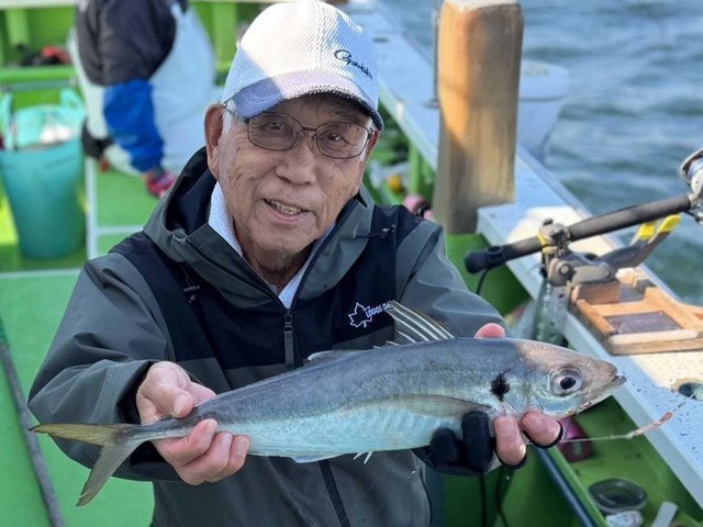 アジ(マアジ)