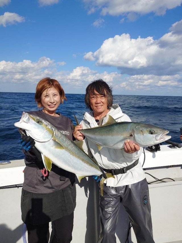 ヒラマサ
