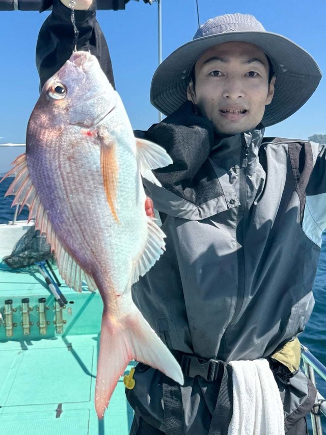 マダイ