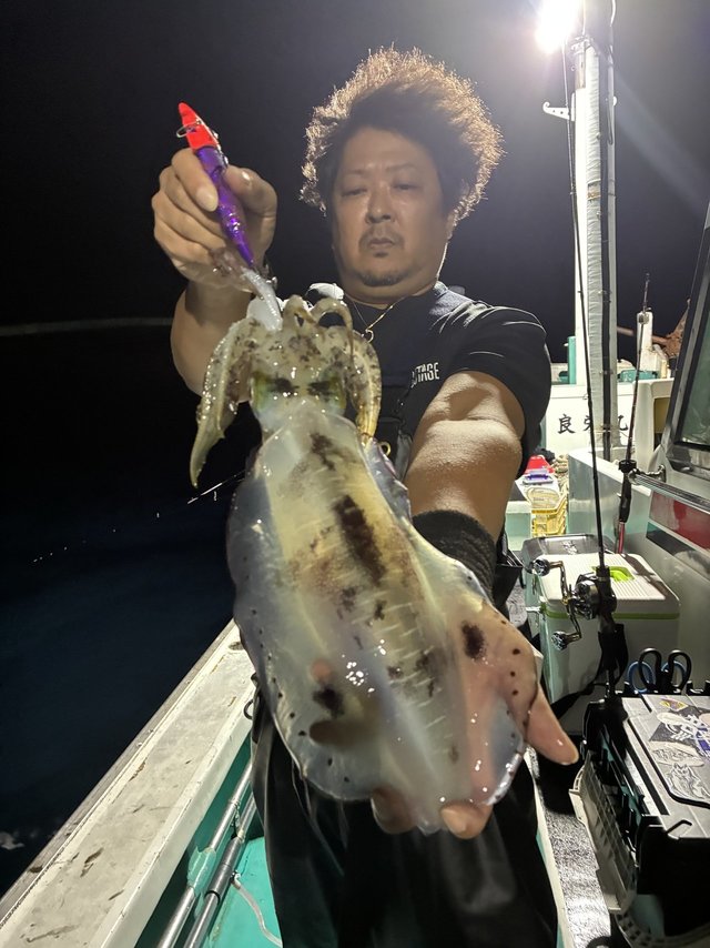 アオリイカ