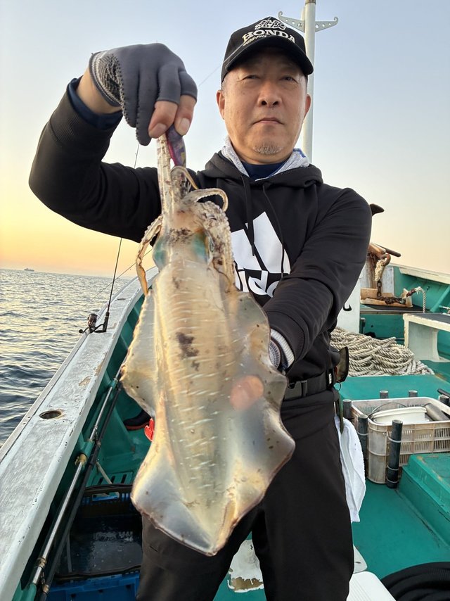 アオリイカ