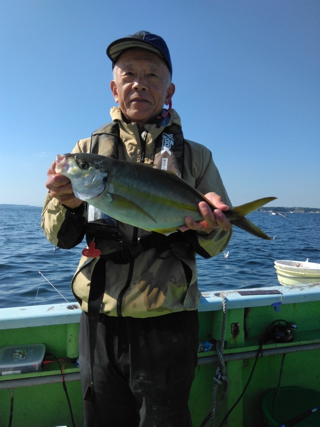 シマアジ